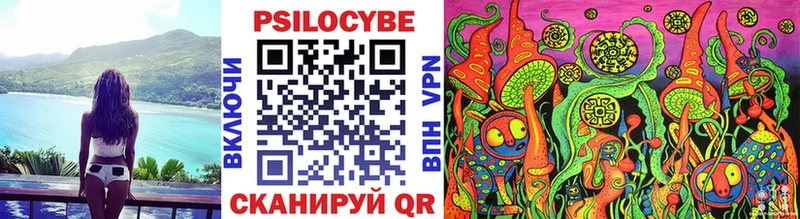 Псилоцибиновые грибы Psilocybe  Купить где  Полысаево 